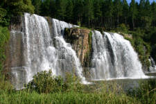 The Forest falls