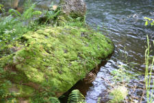 River on the way