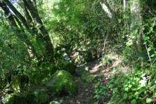 Walk way to the falls